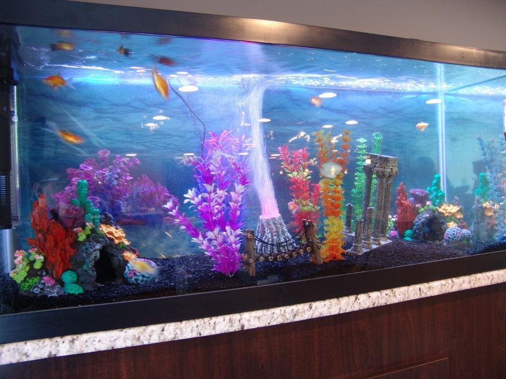 Hotel Clarion Pointe Downtown 3*